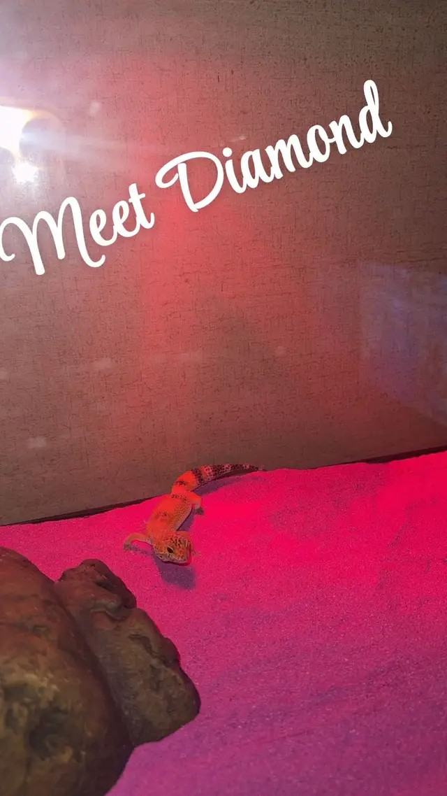 My new baby 