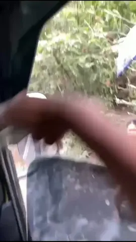 jane kurang tulus pie😅 #fyp #tambangpasirmerapi #tambangmerapi #opet #jogja24jam_ #sopirtruk #sopirtruckindonesia🇮🇩