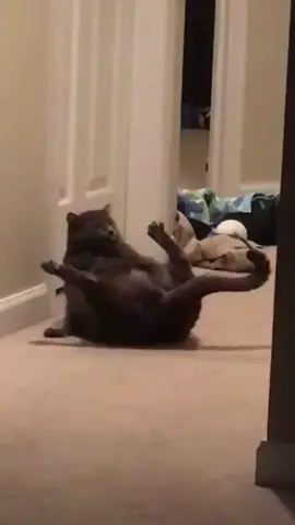 #CapCut móc bướm cùng mình nha#slayyyyyyyyyyyyyyy #xuhuongtiktok #xhhhhhhhhhhhhhhhhhhhhhhhhhhhhh 