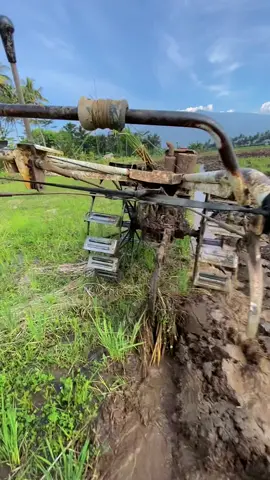 Lemes Rano kiriman 🤦🏼#fyp #petanimuda #masukberanda #xyzbca #foryou 