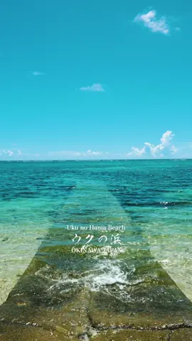 📍Okinawa🇯🇵 ウクの浜(Uku no Hama) —————————————————————— 【沖縄県の魅力を動画で発信！】 ▶︎Video Creator / Japan� / Okinawa ▶︎都会にはない沖縄の風景を発信 ▶︎湘南から沖縄移住5年目 —————————————————————— #okinawa #okinawajapan #okinawatravel #ウクの浜 #沖縄 