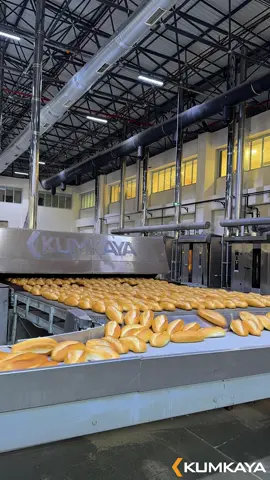 Kumkaya Tunnel Oven is ideal for industrial bakeries and automatic bread production lines. This energy-efficient oven ensures consistent baking quality for large-scale bread production 🔗 More info in bio! ✅ Only WhatsApp: +90 (541) 429 88 33  #KumkayaMachine #tunneloven #industrialovengas #breadproductionline #bakerylife  