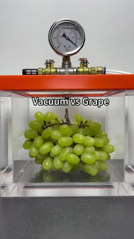 Vacuum vs Grape,what’s next?