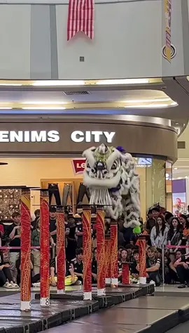 🇲🇾 2025 第三屆  YB張念群杯 馬新高樁獅王爭霸賽  🇲🇾 2025 YB Teo Nie Ching Cup Malaysia & Singapore Lion Dance Championship - Johor Bahru 🇸🇬 新加坡平福武文化体育会 PHB Cultural Association (Singapore)   再接再厉 make persistent efforts 😣 #malaysia #liondance #barongsai #mualan #tariansinga 