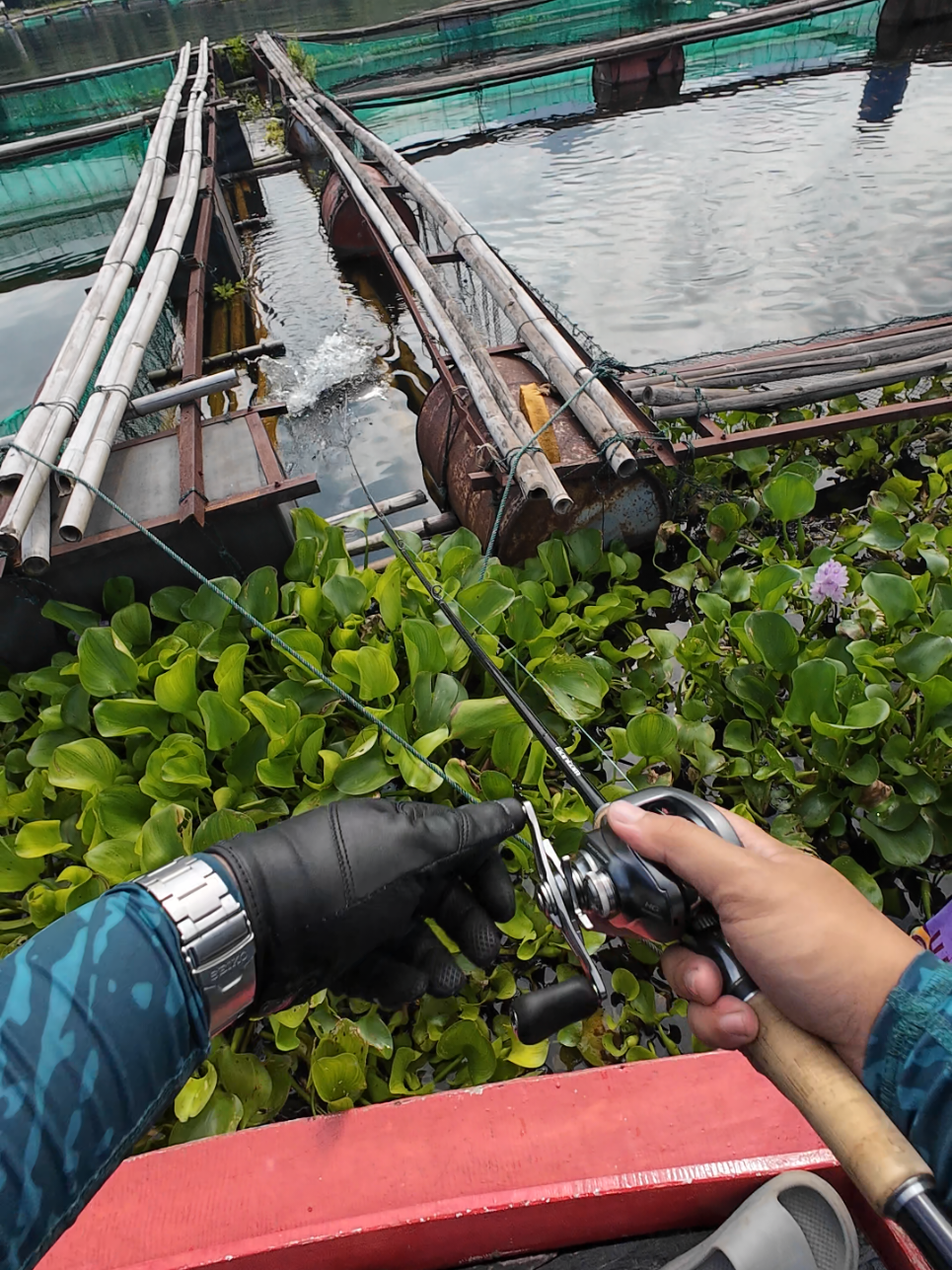 CELENGAN NIH, TAG KALO KENA🗿 #mancing #castingtoman #shimano #fishing #jatiluhur 
