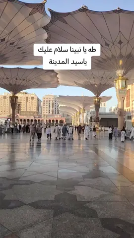 #طه_يانبينا_سلام_عليك_ياسيد_المدينة #صل_الله_عليه_وسلم ##المولد_النبوي_الشريف