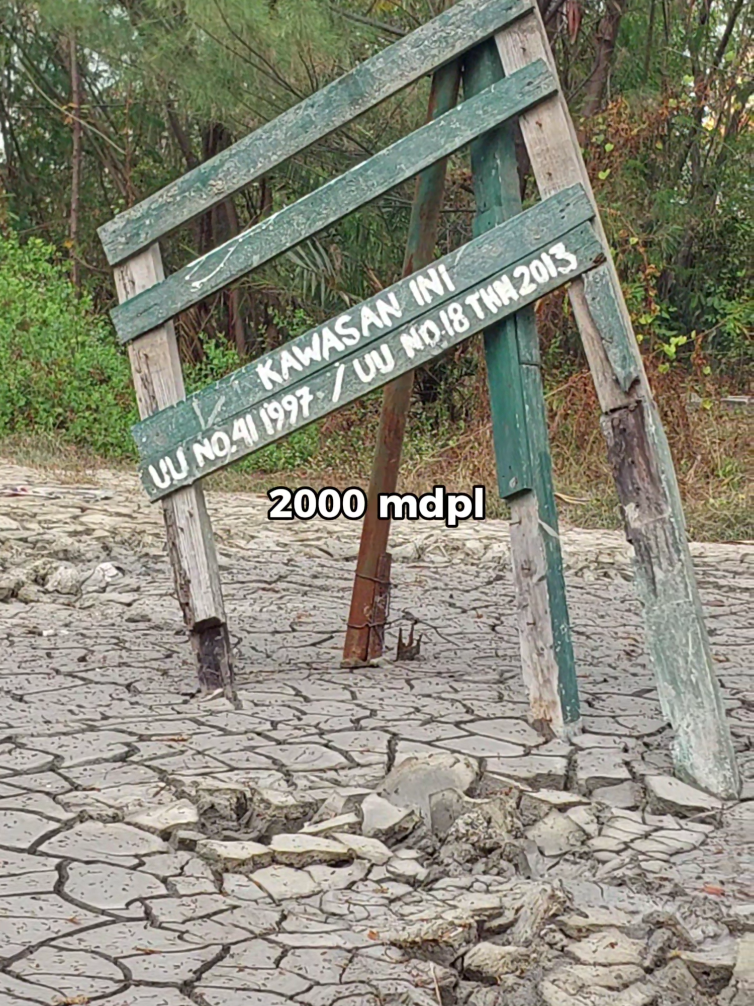 Surabaya juga punya gunung nih bos! (selain gunung kembar) #sidequest #mendakigunung #capekboi #tiktok #shorts #fypシ゚ #viralvideo #Hiking #fyp #mendaki #gunungpemula #gununganyar #pendakian