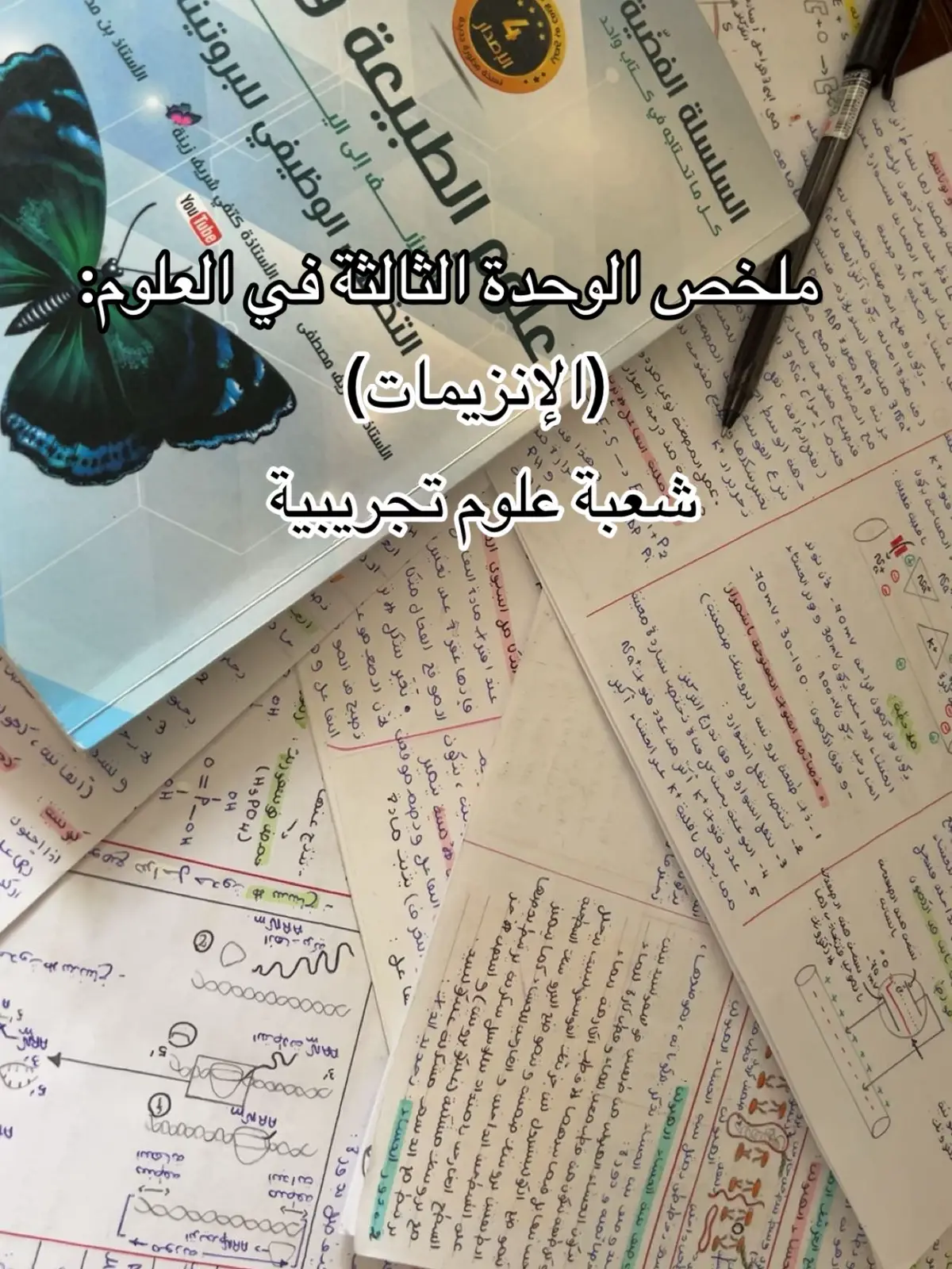 #bac_2026 #stydytok #motivation #bac #foryoupage 