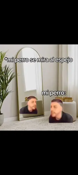 QUIEN ERES 🗣️‼️#djmario