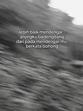 dahlahh😌 lebih baik berburu babi dari pada berburu kamu yang gak dapat dapat #porbi_tsl_tasik_selatan #TERJUNGTSL_TASIK_SELATAN🔥⭐ 