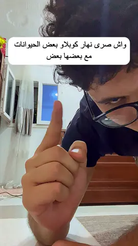 #fyp #غرائب #حقائق  بعض الحيونات لم تكن تعرفها من قبل 