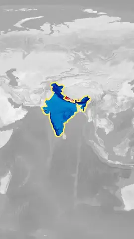 #fact #foryou #video 