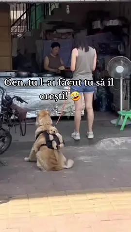 #andreigd93 #foryou #fy #comedyvideo 