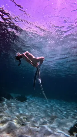 Nguyện dâng hiến làn da này cho biển cả 🧜‍♀️                                      #freediving #daoPhuQuy 