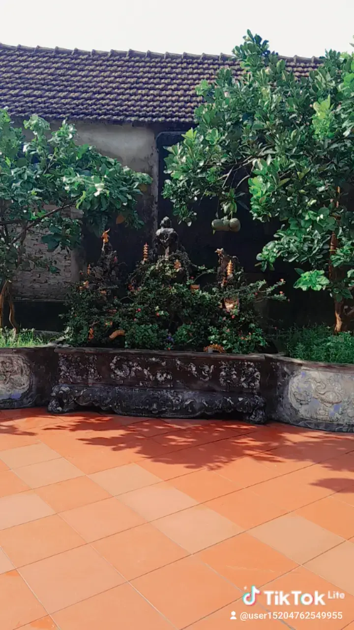 đi tìm đạo lý hiếu kính chả mẹ