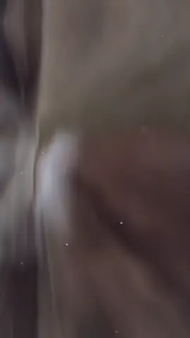 1 mik 2 ghế nên ngồi tốn dtích xí😆😆#lehoanghiep #quandoinhandanvietnam #xuhuongtiktok #fypシ #fypシ゚viral🖤tiktok 