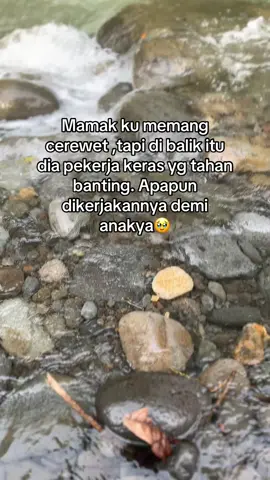 Sehat sehat ya mak😊#cakapmedan #foryoupage #foryou #fyp #bataktiktok #batak #fypppppppppppppppppppppppp #masukberanda #xbcyza #fyppppppppppppppppppppppp #masukberanda #storywa #katakata 