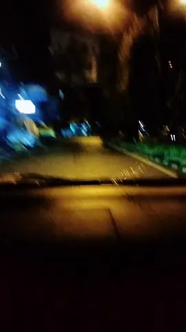 Selamat malam,balik kanan dulu bosku #fyp 