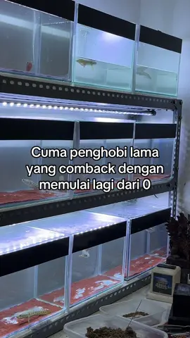 Kita mulai dari pengalaman #channa #channaindonesia 