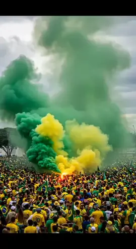 Aqui e o Brasil...❗❗🇧🇷🇧🇷 #fouryou #bolsonaro #brasil🇧🇷 #brasil #fyp 