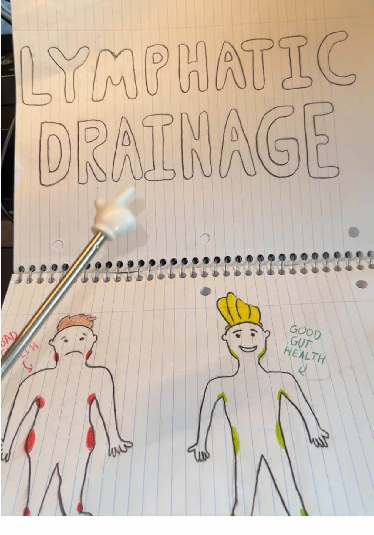 The drawings should help simplify everything! #lymphaticdrainage #lymphaticsystem #lymphaticmassage 