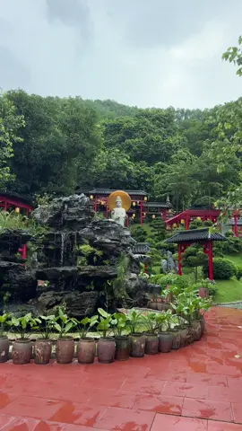 Nếu có dịp bạn hãy về Hà Nam ghé thăm chùa Cây Thị nhé các bạn đồng tu ơi ... #phatphap #phatphapnhiemmau #xuhuong #xuhuongtiktok 