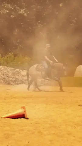 Another day in the office. #horsemanship #getembroke #michaellyonshorsemanship #horsetok #horsetraining 