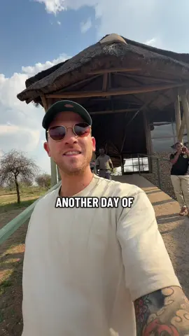 Just safari things hehe 🐘🐘 #safari #serengeti #africasafari #tanzaniatravel #serengetisafari 