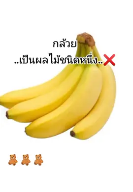 ตกลงกล้วยเป็นอะไร? ##เทรนวันนี้ #ฟีดดดシ #หนัวอินเดึย #ตลก #ขึ้นฟีดเถอะ 