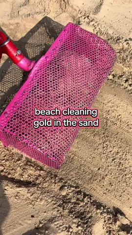 Beach cleaning - from garbage and money