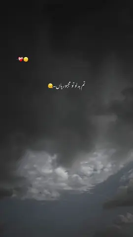 Lines❤️‍🩹🤧#foryoupage #fyp #poetry #asthetic #tiktokviralvideo 