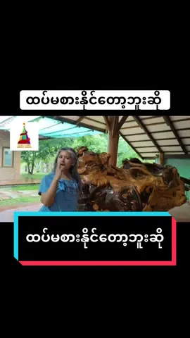 အပြင်သွားရင်စာလေးသင်ပေးမယ် #TrJuli #english 