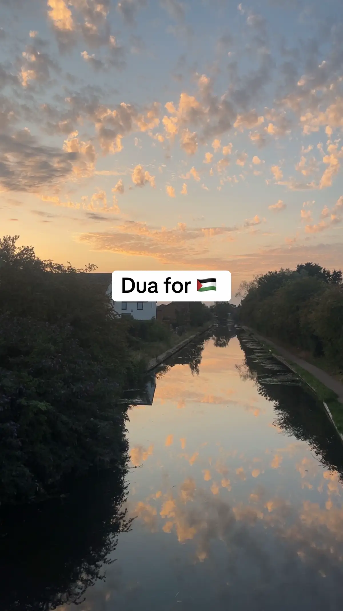 #fyp #islamic_video #muslimtiktok #freepalestine #xyzcba 