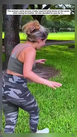 Poor baby squirrel 🐿️ #squirrel #babysquirrel #squirrelsoftiktok #animal 