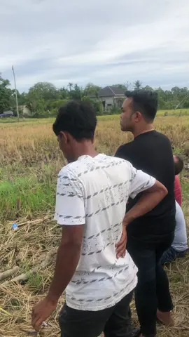 Pembukaan turnamen Aneuk Medan Cup 1 Desa Lhung Tarok, Abdya #layangaceh #layangabdya #layangtunangaceh #fyp @Fauzi Nazir @Ridi abdya @Cut lem Lem @LAYANG DEBAR @Lem is @acehhebat2 