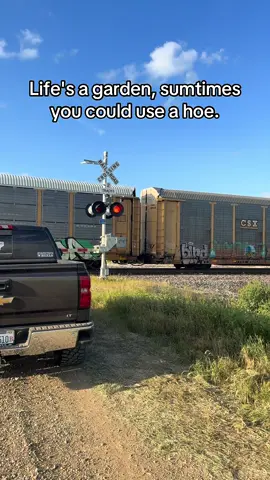 #fypシ゚viral #illinois #trucktok #relatable #fypシ 