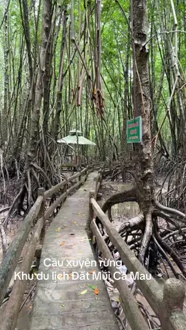 Em theo anh về đất mũi Cà Mau Một chiều hè nắng trong gió mát Dòng sông Tam Giang thuyền ghe xuôi ngược Ngọt lịm câu hò Cái Nước Đầm Dơi.          ( thơ mượn ).                                              #nhachaymoingay 