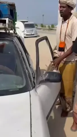 محشه😂😂 #حضرموت_المكلا 