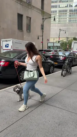 who has the bigger trunk?