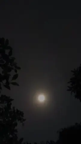 #ALLAHUMMASHOLLIALASAYYIDINAMUHAMMAD,  #WAALAALISAYYIDINAMUHAMMAD