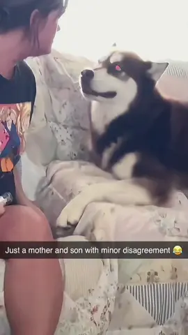 Try not to laugh when you watch 😂😂😂 #funny #dog #animals #funnyvideos #cat 