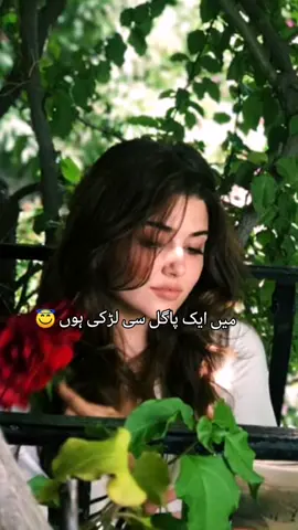 @#DU@ KHALID👑 @That_girll😌 @IQRA❤️⚡ @@its me 116 #foryoupage #foryoulike #viral #unfreezmyaccount #viewsproblem 