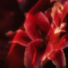 Miss him #jeffbuckley #jeffbuckleytiktok #jeffbuckleyedit #jeffbuckleygrace #itsneverover 