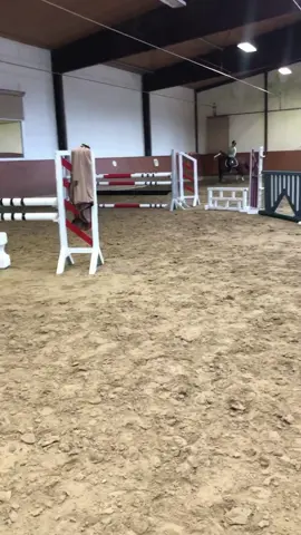 A true jumping talent 🧡🐎 9 y/o | German Riding Pony | 145 cm Kind, in professional training & ready to show 🏆 With heart, presence, and impressive jumping ability – the perfect partner to take you to the next level 🌟 More info at ehorses.com 👉 ID: 4537217 #ehorses #germanridingpony #ridingpony #showjumpingpony #dressagepony #chestnutpony #ponylove #sportpony #youngpony #horselove