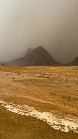 #تصويري #امطار_سيول_الجنوب #جبل_الاني_شرق_حلي 