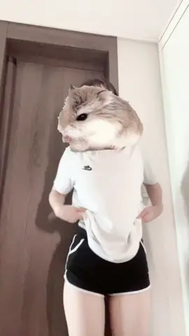 옥수수맛 해바라기씨