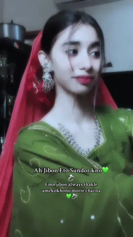 Dua korben ami jno amr vlobashar manushtake niye onk onk bochor bachte pari💚💍Life er first time ami aktu bow sajlam 🫶asholey onk sundor lgtesilo nijeke 😅eikhaney eto pretty lge, tahole just vaben real biyer din aro koto sundor lgbe💍🦋taw abr (wine red )colour bow sajbo inshallah🤗💚💍#srizila17 #fyp #bdtiktokofficial #foryoupage 