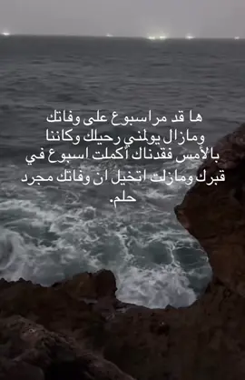 #اكسبلور #اكسبلور #رحمه الله جدتي