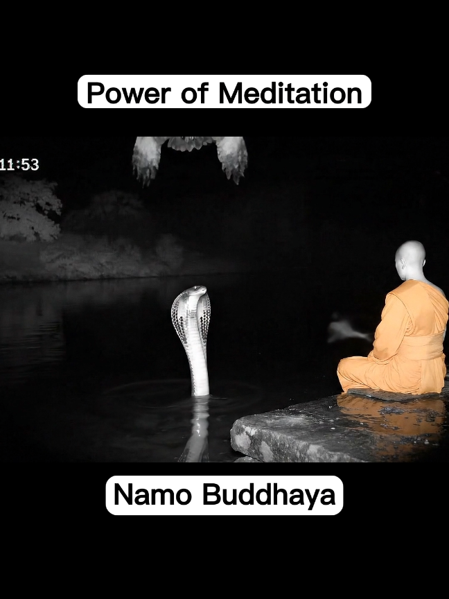 Power of meditation☸️ #foryoupage❤️❤️ #foryoupage #Lord Buddha #trending  #viral 