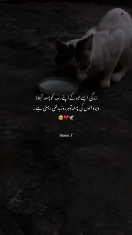 زندگی ایسےجیوکےاپنےرب کوپسندآجاؤ۔❤️‍🩹🫠 #foryou #fyp #faizan_7 #grow #urdupoetry 